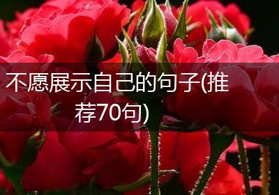 不愿展示自己的句子(推荐70句)