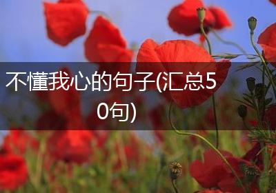 不懂我心的句子(汇总50句)