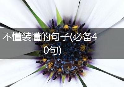 不懂装懂的句子(必备40句)