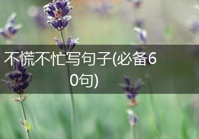 不慌不忙写句子(必备60句)