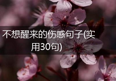 不想醒来的伤感句子(实用30句)