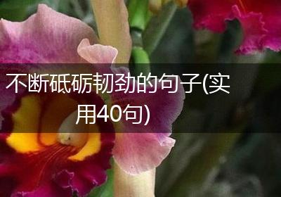 不断砥砺韧劲的句子(实用40句)