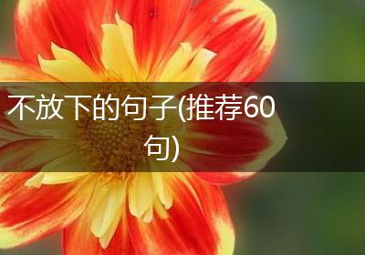 不放下的句子(推荐60句)