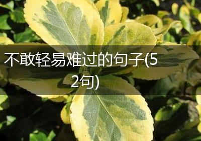 不敢轻易难过的句子(52句)