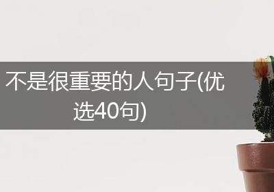 不是很重要的人句子(优选40句)