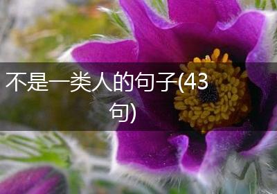 不是一类人的句子(43句)