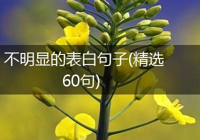 不明显的表白句子(精选60句)
