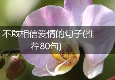 不敢相信爱情的句子(推荐80句)
