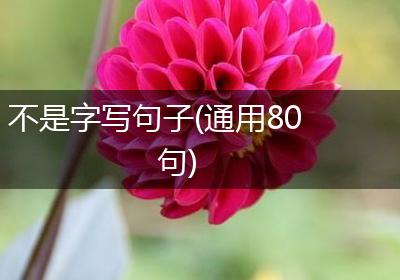 不是字写句子(通用80句)