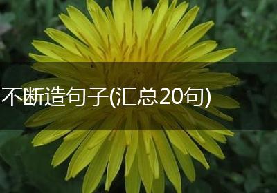 不断造句子(汇总20句)