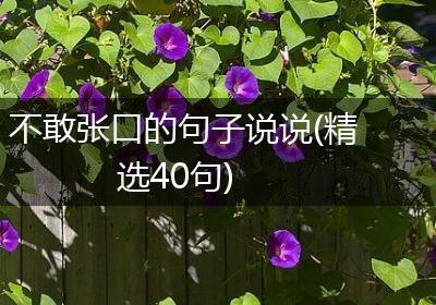 不敢张口的句子说说(精选40句)