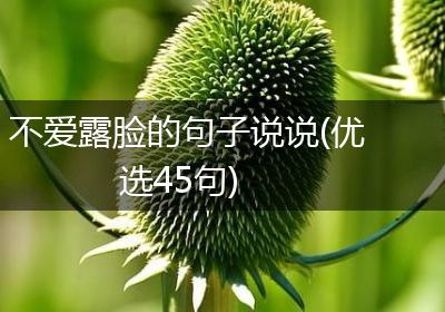不爱露脸的句子说说(优选45句)