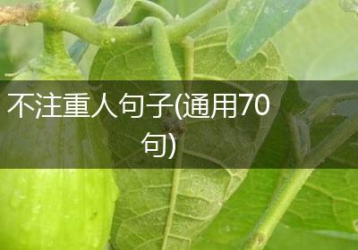 不注重人句子(通用70句)