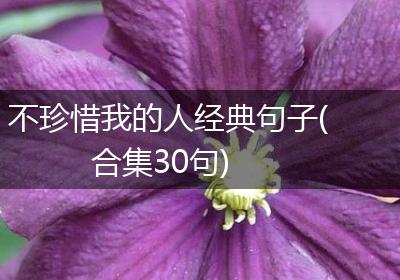 不珍惜我的人经典句子(合集30句)