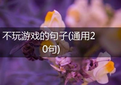 不玩游戏的句子(通用20句)