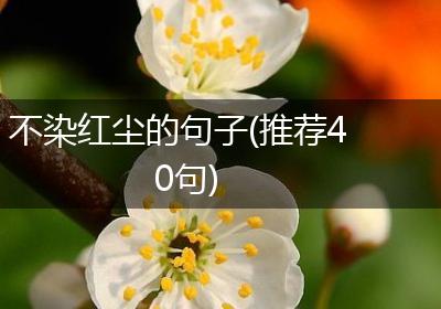不染红尘的句子(推荐40句)