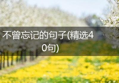 不曾忘记的句子(精选40句)