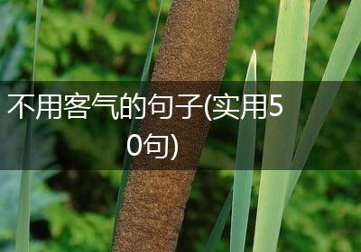 不用客气的句子(实用50句)