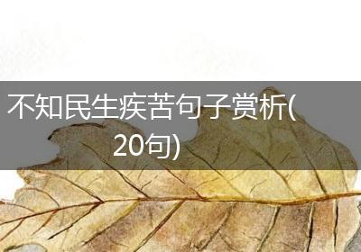 不知民生疾苦句子赏析(20句)
