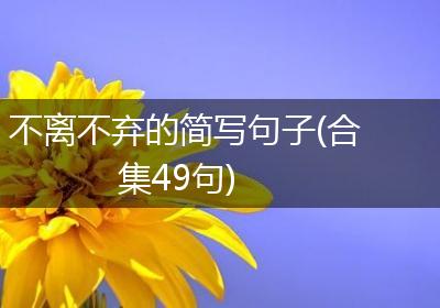 不离不弃的简写句子(合集49句)