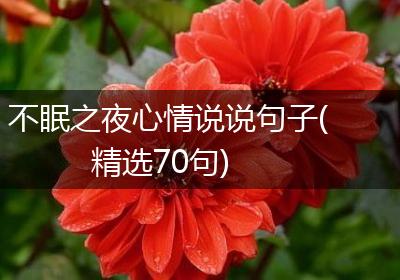 不眠之夜心情说说句子(精选70句)