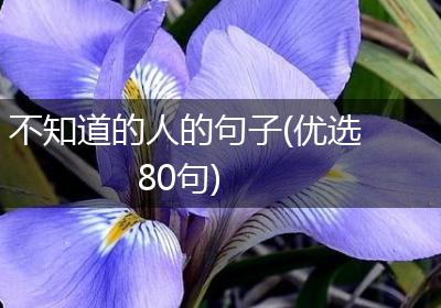 不知道的人的句子(优选80句)