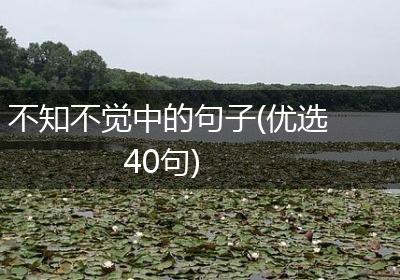 不知不觉中的句子(优选40句)