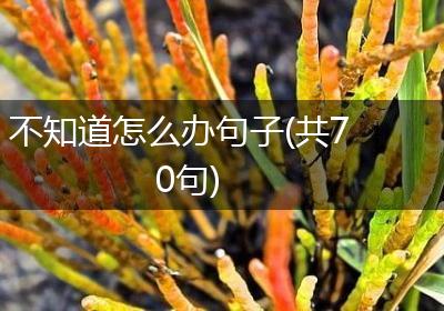 不知道怎么办句子(共70句)
