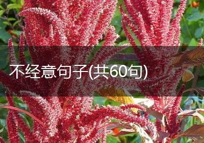 不经意句子(共60句)