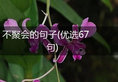 不聚会的句子(优选67句)