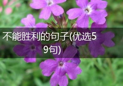 不能胜利的句子(优选59句)