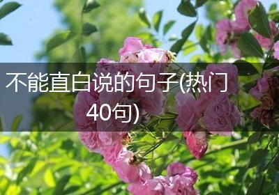 不能直白说的句子(热门40句)