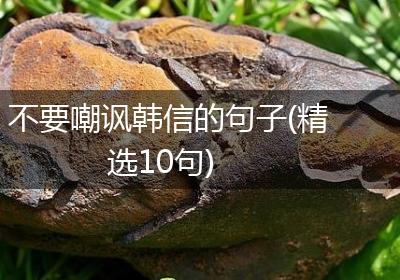 不要嘲讽韩信的句子(精选10句)