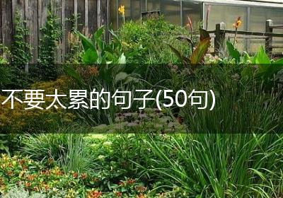 不要太累的句子(50句)