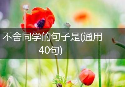 不舍同学的句子是(通用40句)