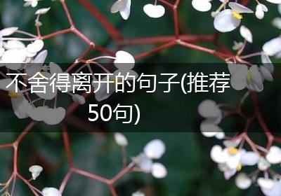 不舍得离开的句子(推荐50句)