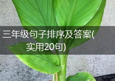 三年级句子排序及答案(实用20句)