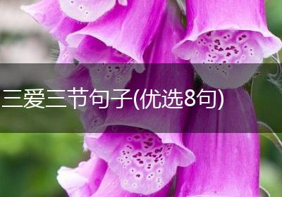 三爱三节句子(优选8句)