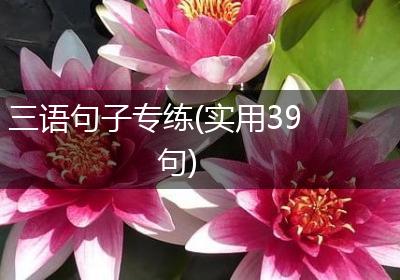 三语句子专练(实用39句)