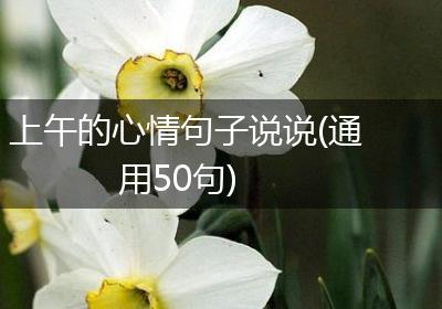 上午的心情句子说说(通用50句)