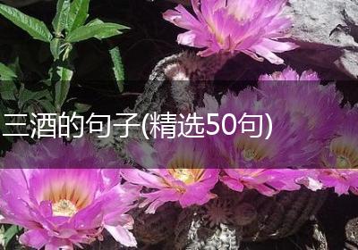 三酒的句子(精选50句)