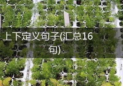 上下定义句子(汇总16句)