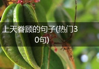 上天眷顾的句子(热门30句)