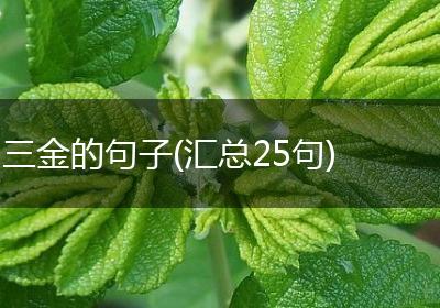 三金的句子(汇总25句)