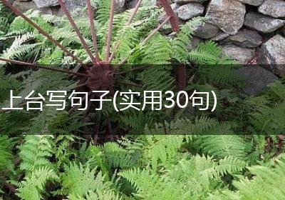 上台写句子(实用30句)