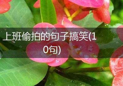 上班偷拍的句子搞笑(10句)