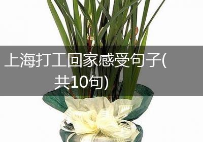 上海打工回家感受句子(共10句)