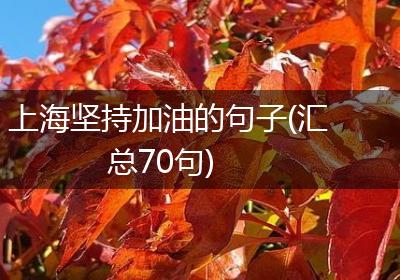 上海坚持加油的句子(汇总70句)