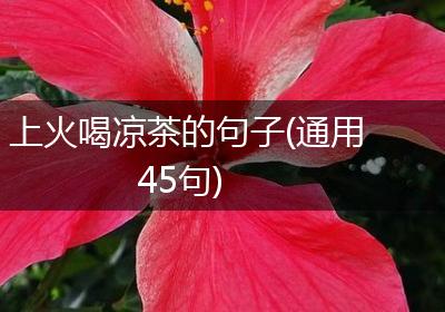 上火喝凉茶的句子(通用45句)