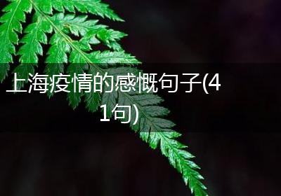 上海疫情的感慨句子(41句)